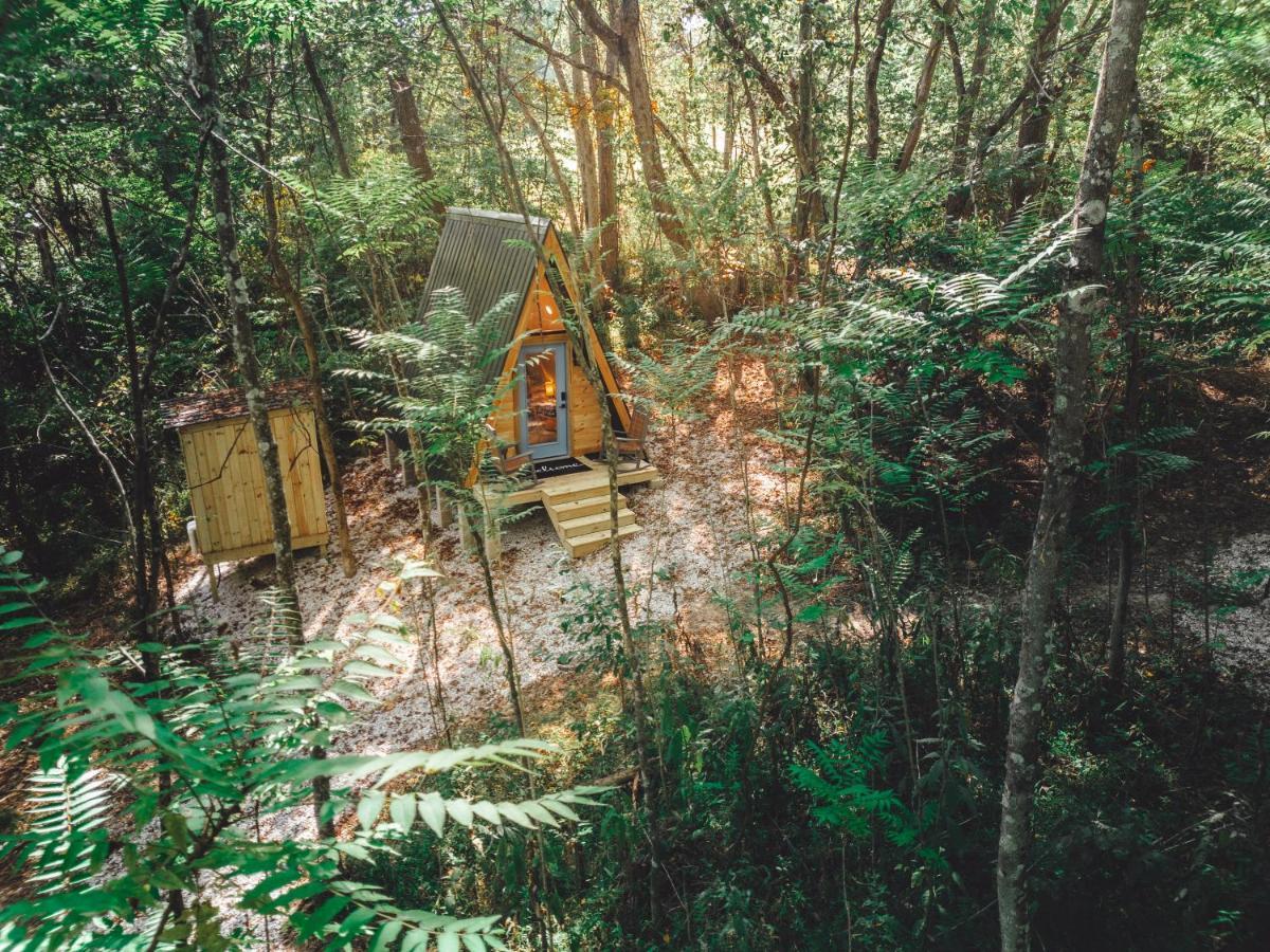 Blue Brambler Glamping A-Frame Lägenhet Rockbridge Exteriör bild