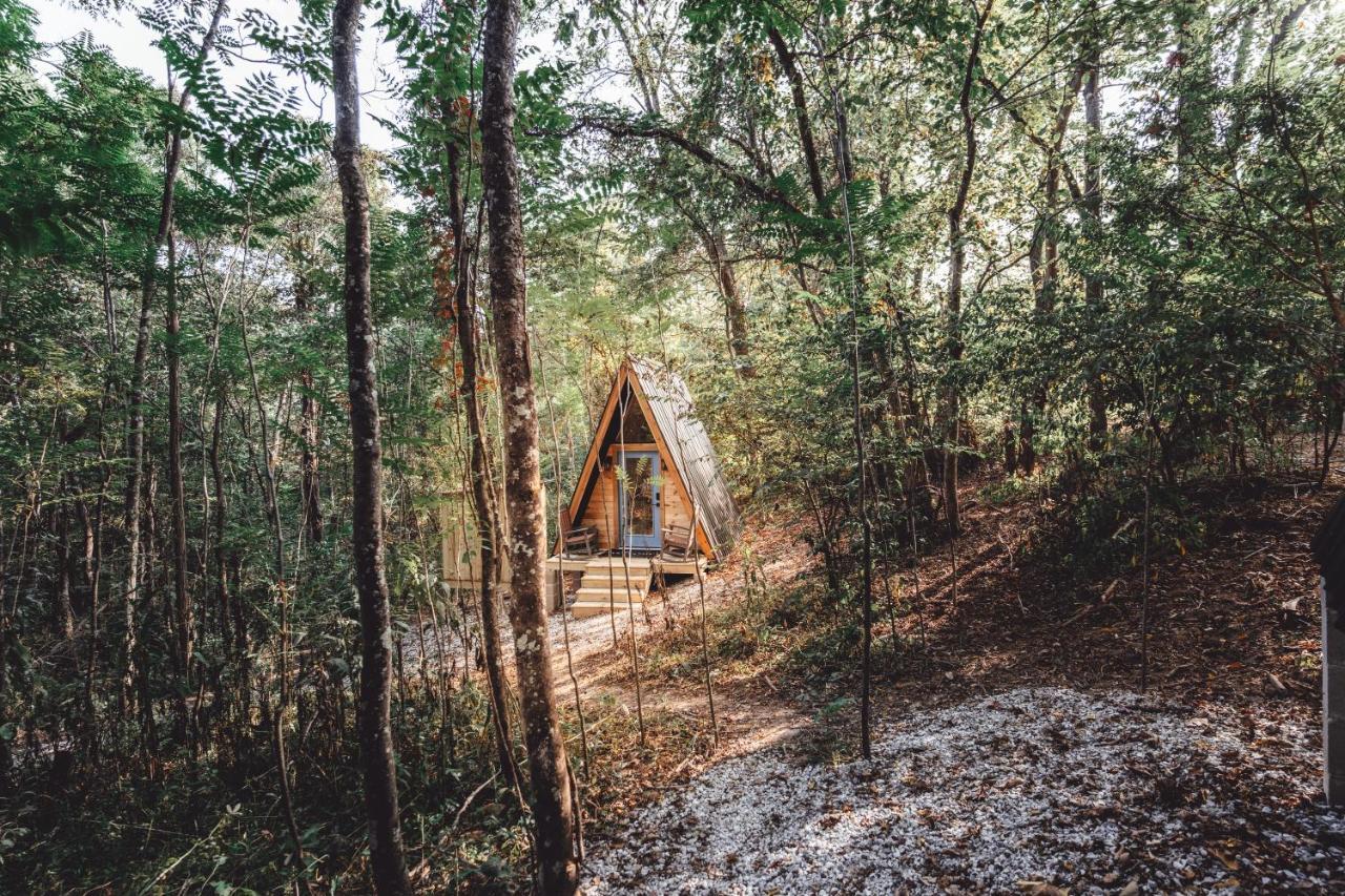 Blue Brambler Glamping A-Frame Lägenhet Rockbridge Exteriör bild